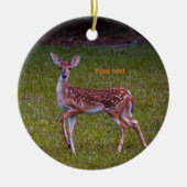 Florida Key herder Juvenile-grafie Keramisch Ornament (Voorkant)