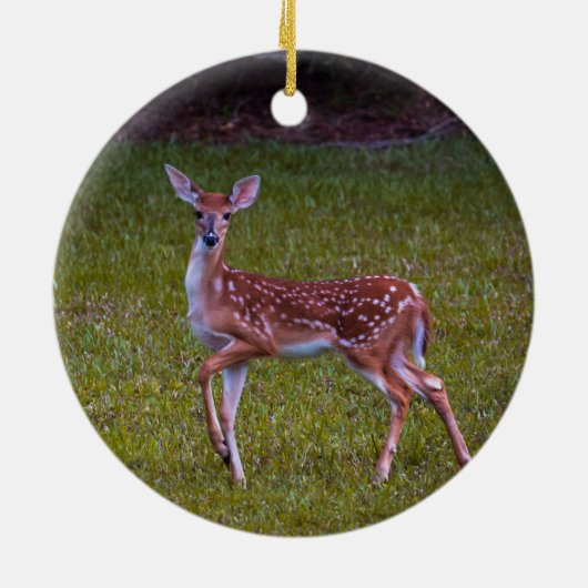 Florida Key herder Juvenile-grafie Keramisch Ornament (Achterkant)