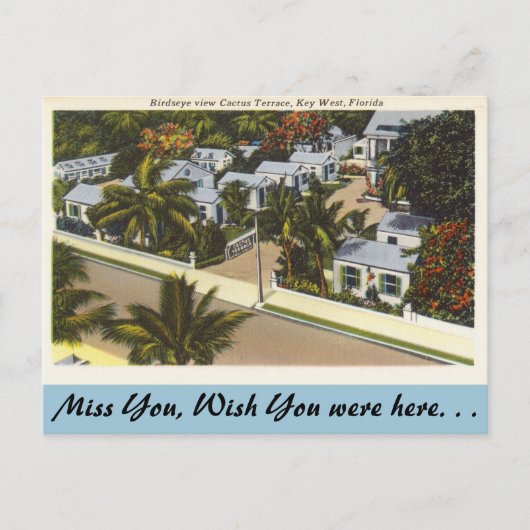 Florida, Key West, Cactus Terrace Briefkaart (Voorkant)