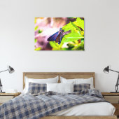 Florida Keys Bahia Honda Blauwe Vlinder Canvas Afdruk (Insitu (Slaapkamer))