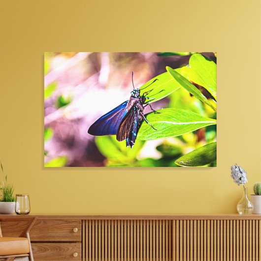 Florida Keys Bahia Honda Blauwe Vlinder Canvas Afdruk (Insitu (Woonkamer))