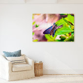 Florida Keys Bahia Honda Blauwe Vlinder Canvas Afdruk