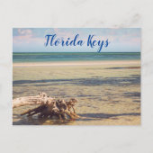 Florida Keys Bahia Honda Driftwood Beach Briefkaart (Voorkant)