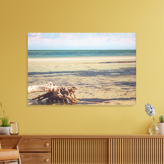 Florida Keys Bahia Honda Driftwood Beach Canvas Afdruk (Insitu (Woonkamer))