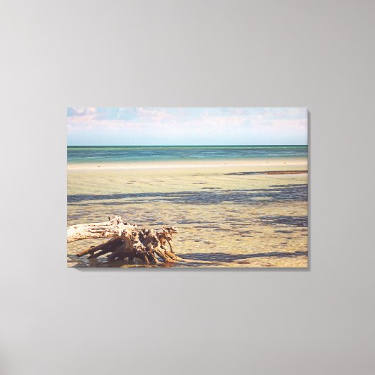 Florida Keys Bahia Honda Driftwood Beach Canvas Afdruk (Voorkant)
