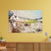 Florida Keys Bahia Honda Driftwood Shore Canvas Afdruk (Insitu (Woonkamer))