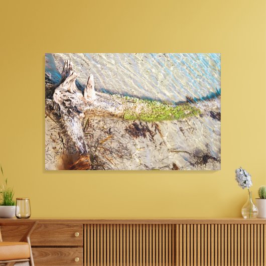 Florida Keys Bahia Honda Driftwood Shore Canvas Afdruk (Insitu (Woonkamer))