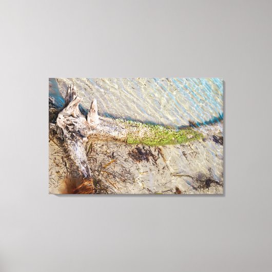 Florida Keys Bahia Honda Driftwood Shore Canvas Afdruk (Voorkant)