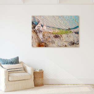 Florida Keys Bahia Honda Driftwood Shore Canvas Afdruk