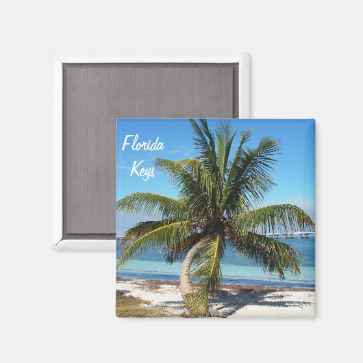 Florida Keys Bahia Honda State Park Palm Magneet (Voorkant / Achterkant)