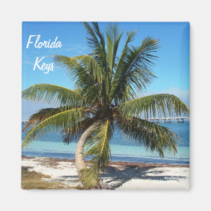 Florida Keys Bahia Honda State Park Palm Magnet