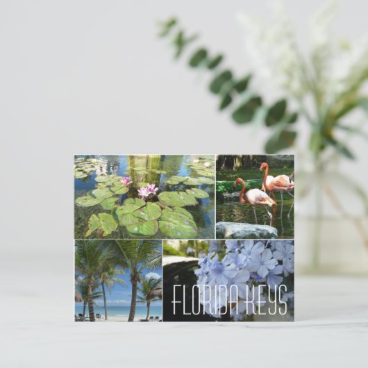 Florida Keys Briefkaart (Staand voorkant)