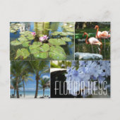Florida Keys Briefkaart (Voorkant)