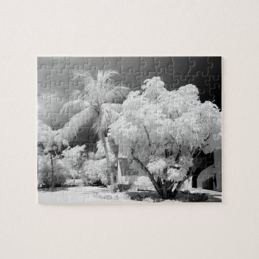 Florida Keys huis en zijn palmbomen, VS. 2 Legpuzzel (Horizontaal)