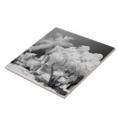 Florida Keys huis en zijn palmbomen, VS. 2 Tegeltje (Zijkant)