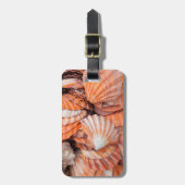 Florida Keys, Key West, schelpen Bagagelabel (Voorkant verticaal)