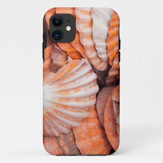 Florida Keys, Key West, schelpen Case-Mate iPhone Case (Achterkant)