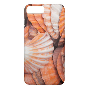 Florida Keys, Key West, schelpen iPhone 8/7 Plus Hoesje