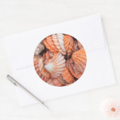 Florida Keys, Key West, schelpen Ronde Sticker (Envelop)