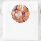 Florida Keys, Key West, schelpen Ronde Sticker (Tas)