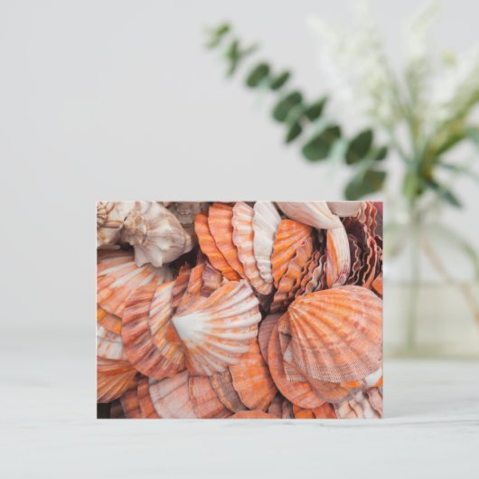 Florida Keys, Key West, seizoenshells Briefkaart (Staand voorkant)