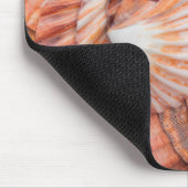 Florida Keys, Key West, seizoenshells Muismat (Hoek)