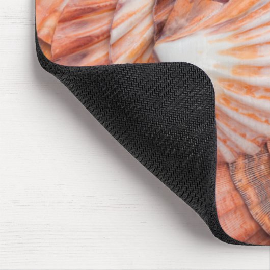 Florida Keys, Key West, seizoenshells Muismat (Hoek)