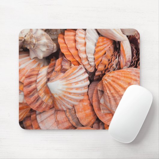 Florida Keys, Key West, seizoenshells Muismat (Met muis)