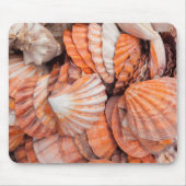 Florida Keys, Key West, seizoenshells Muismat (Voorkant)