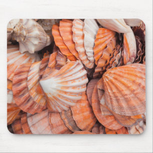 Florida Keys, Key West, seizoenshells Muismat