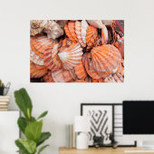 Florida Keys, Key West, seizoenshells Poster (Thuiskantoor)