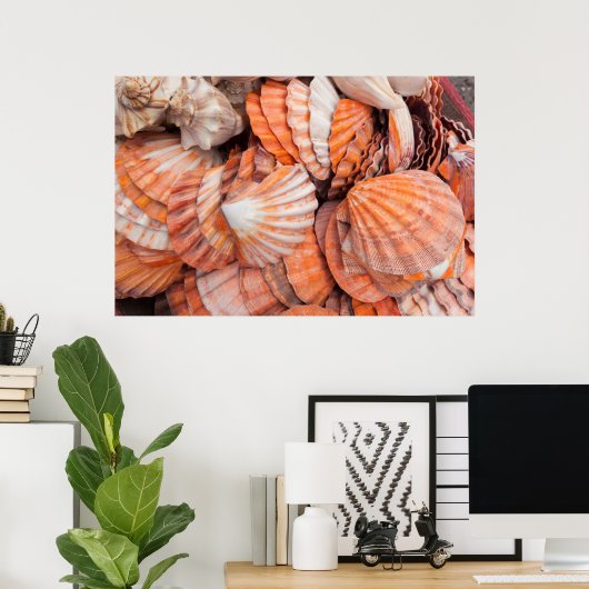 Florida Keys, Key West, seizoenshells Poster (Thuiskantoor)