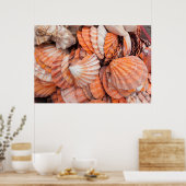 Florida Keys, Key West, seizoenshells Poster (Keuken)