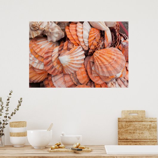 Florida Keys, Key West, seizoenshells Poster (Keuken)