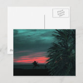Florida Keys Sunset Briefkaart Groot (Voorkant / Achterkant)