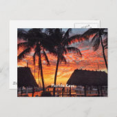 Florida Keys tropische zonsondergang Briefkaart (Voorkant / Achterkant)