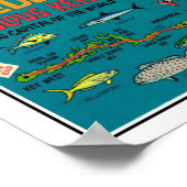 Florida Keys Visprint Poster (Hoek)
