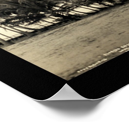 Florida Keys Vist Foto 1912 Poster (Hoek)