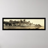 Florida Keys Vist Foto 1912 Poster (Voorkant)