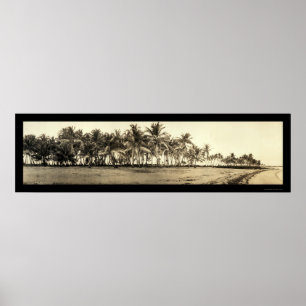Florida Keys Vist Foto 1912 Poster