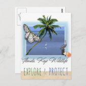 Florida Keys Wildlife Briefkaart (Voorkant / Achterkant)