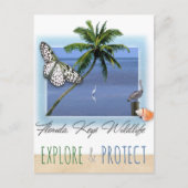 Florida Keys Wildlife Briefkaart (Voorkant)