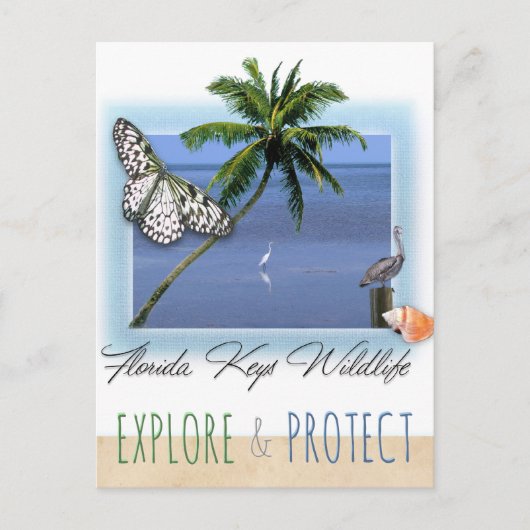 Florida Keys Wildlife Briefkaart (Voorkant)