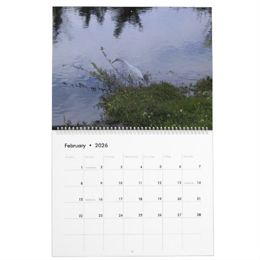 Florida Keys Wildlife Calendar Kalender (Feb 2026)