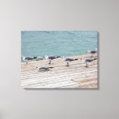 Florida Keys zeemeeuwen op Ocean Pier Canvas Afdruk (Voorkant)