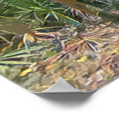 Florida Lace Spaanse mos impressionistische kunst Poster (Hoek)