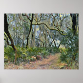 Florida Lace Spaanse mos impressionistische kunst Poster (Voorkant)