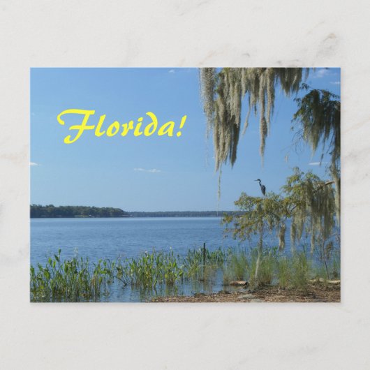 Florida Lake Briefkaart (Voorkant)