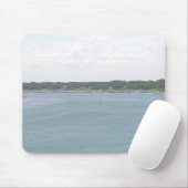 Florida Lake Muismat (Met muis)