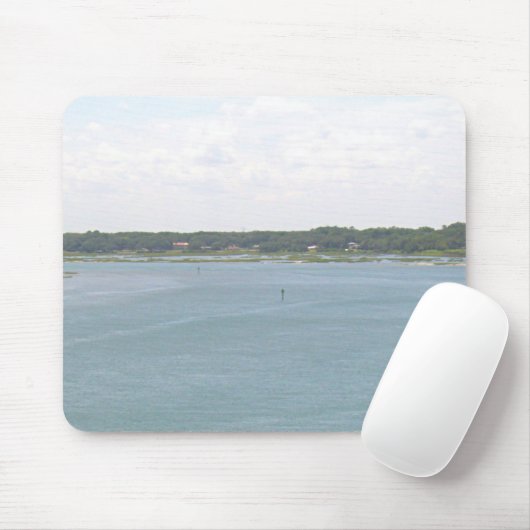 Florida Lake Muismat (Met muis)